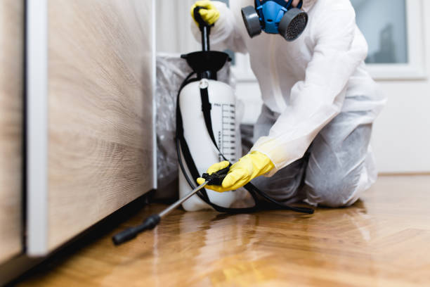 Best Pest Inspection Near Me  in Hattiesburg, MS