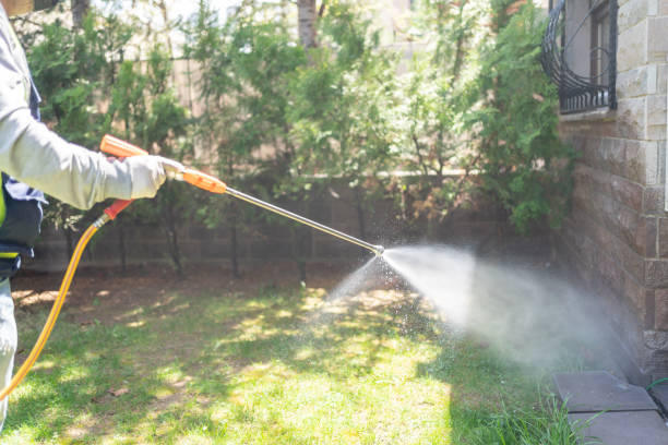 Best Affordable Pest Control Services  in Hattiesburg, MS