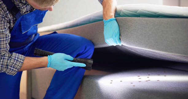 Best Insect Control  in Hattiesburg, MS