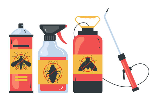 Best Local Pest Control Services  in Hattiesburg, MS