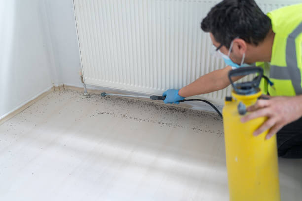 Best Pest Control Near Me in Hattiesburg, MS